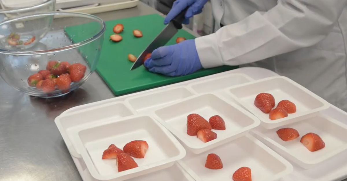 Campden BRI staff preparing strawberries in kitchen ready for tasting